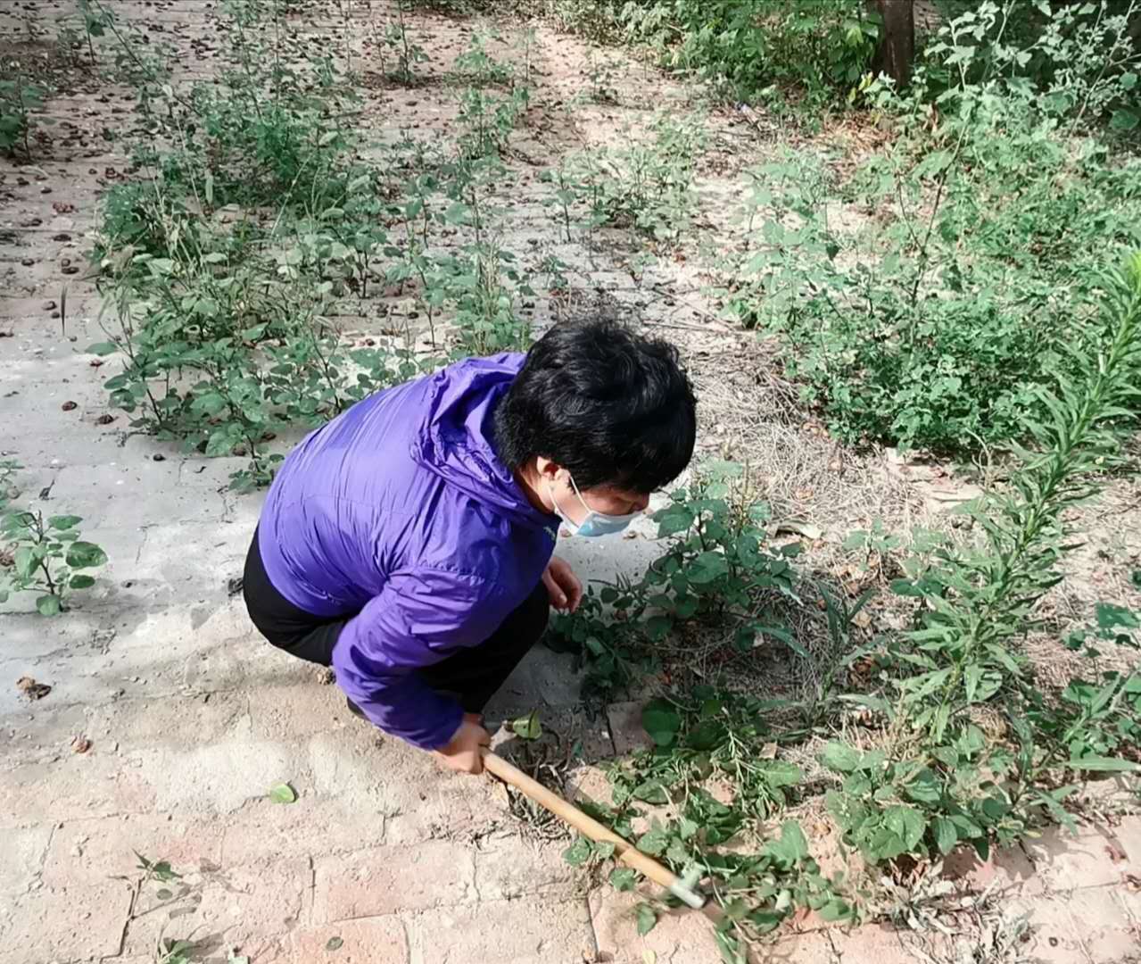 接婆婆妈和公公爸一起过端午节,端午节带女儿回家陪婆婆他们过节