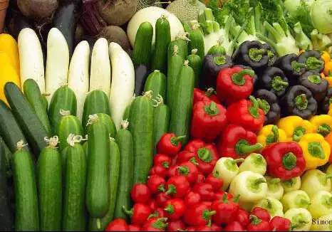 日本农场商业模式视频,未来农业十大吸金商业模式