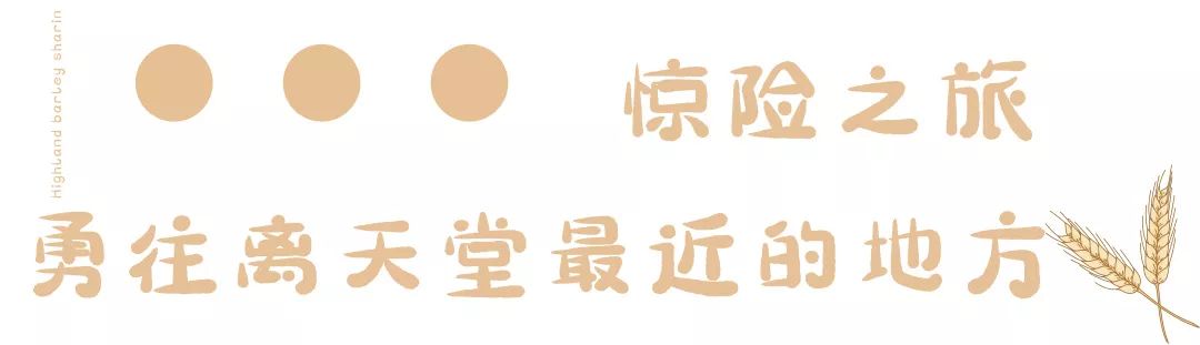 OMG,CoCo青稞家族来了!冬季限定款,买它,还有DIY分享会等你