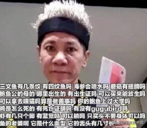 KPL限定新皮肤,2020kpl限定皮肤会返场