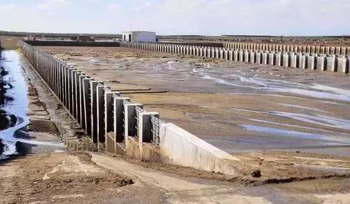 养殖业的商机价格,农业未来十大商机