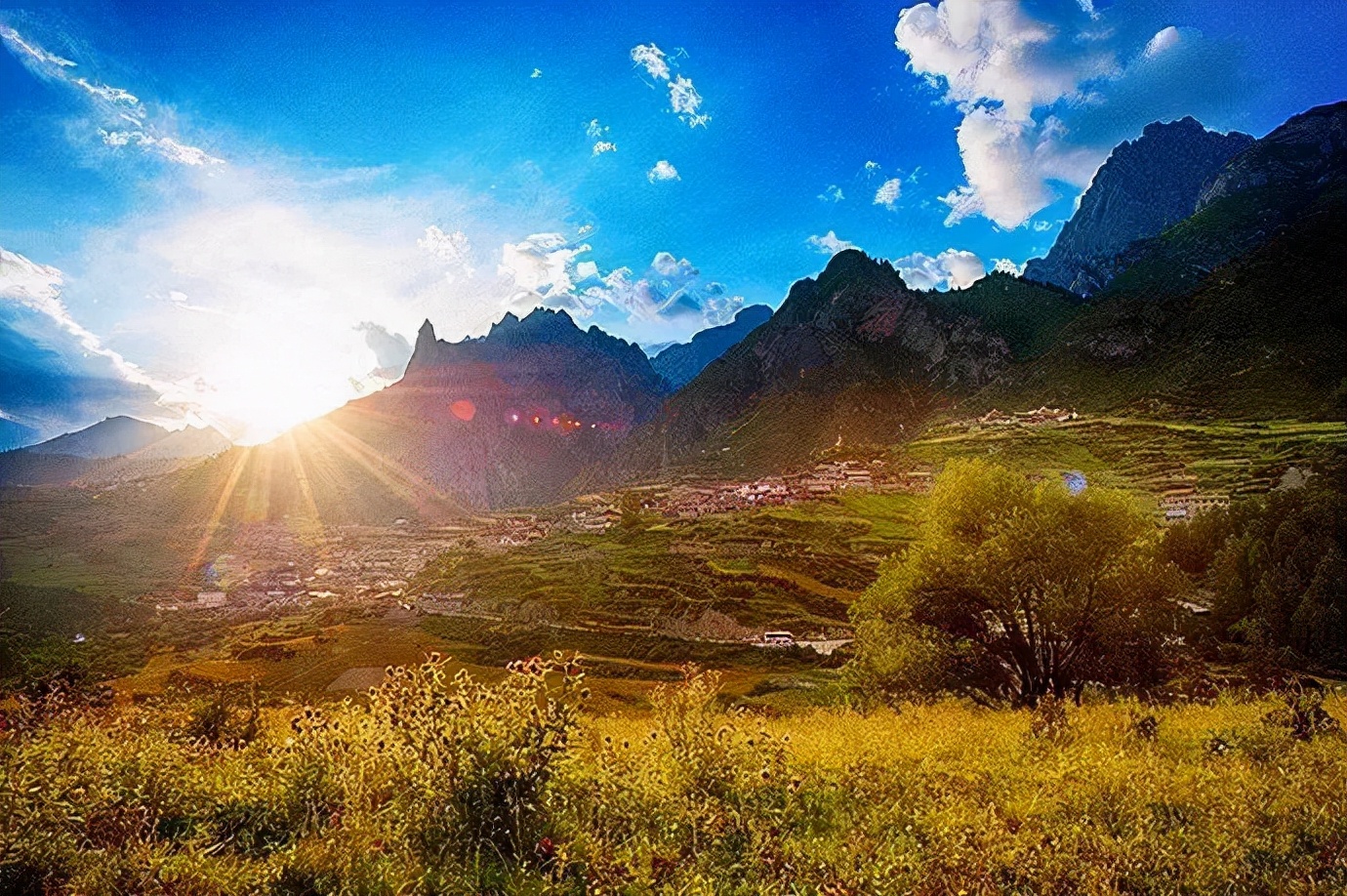 1011月错过它们，等于错过整个秋天！人少清净，随手一拍都是大片