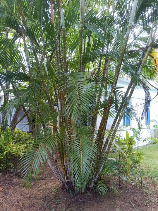 万宁海边的深海,万宁夜晚的海边