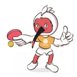 全运冠军回家,全运冠军凯旋回家