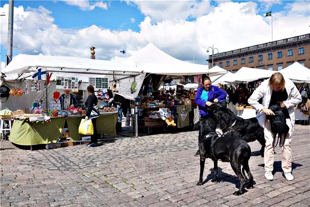 这地方一张罚单78万!豪车开出租家用车是“破烂”,咋回事?