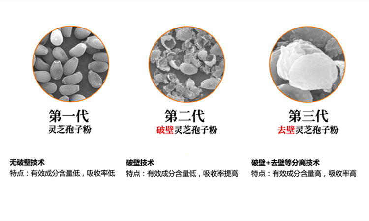 灵芝孢子粉选什么样的最好,如何选择灵芝孢子粉