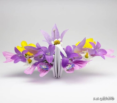 10种纸鹤折法,一天折50个千纸鹤