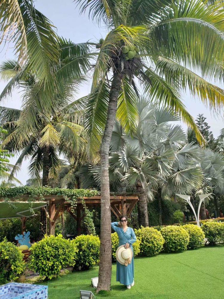 三亚冲浪旅行攻略,去三亚旅游看海