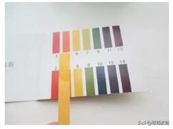 中考化学实验探究题必考,初中化学科学探究答题技巧