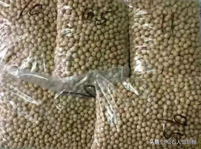 一条正圆的凤眼得多少钱,一条小金鱼卖了十万