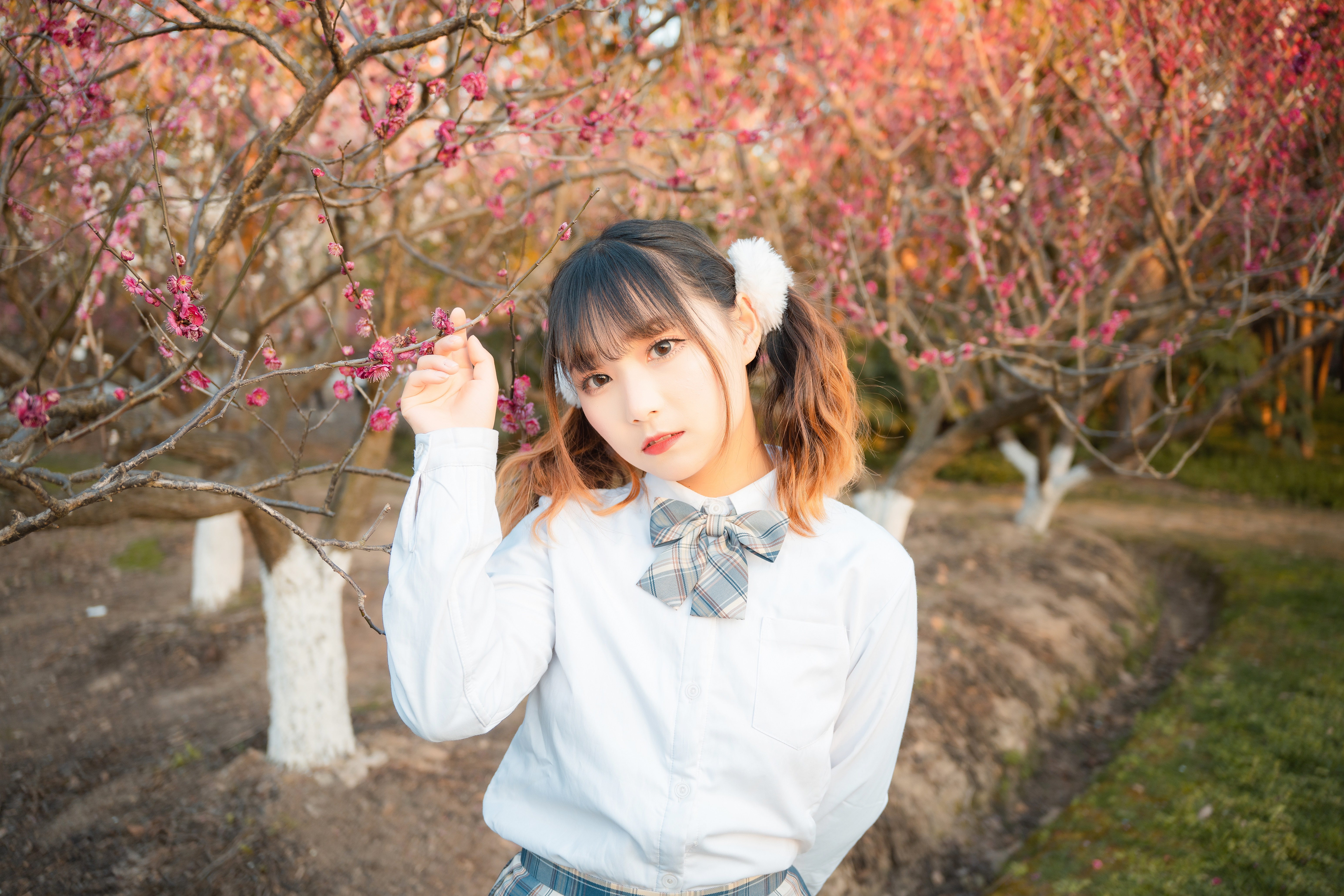 适马24-702.8二代镜头测评,适马新出的24-702.8镜头怎样