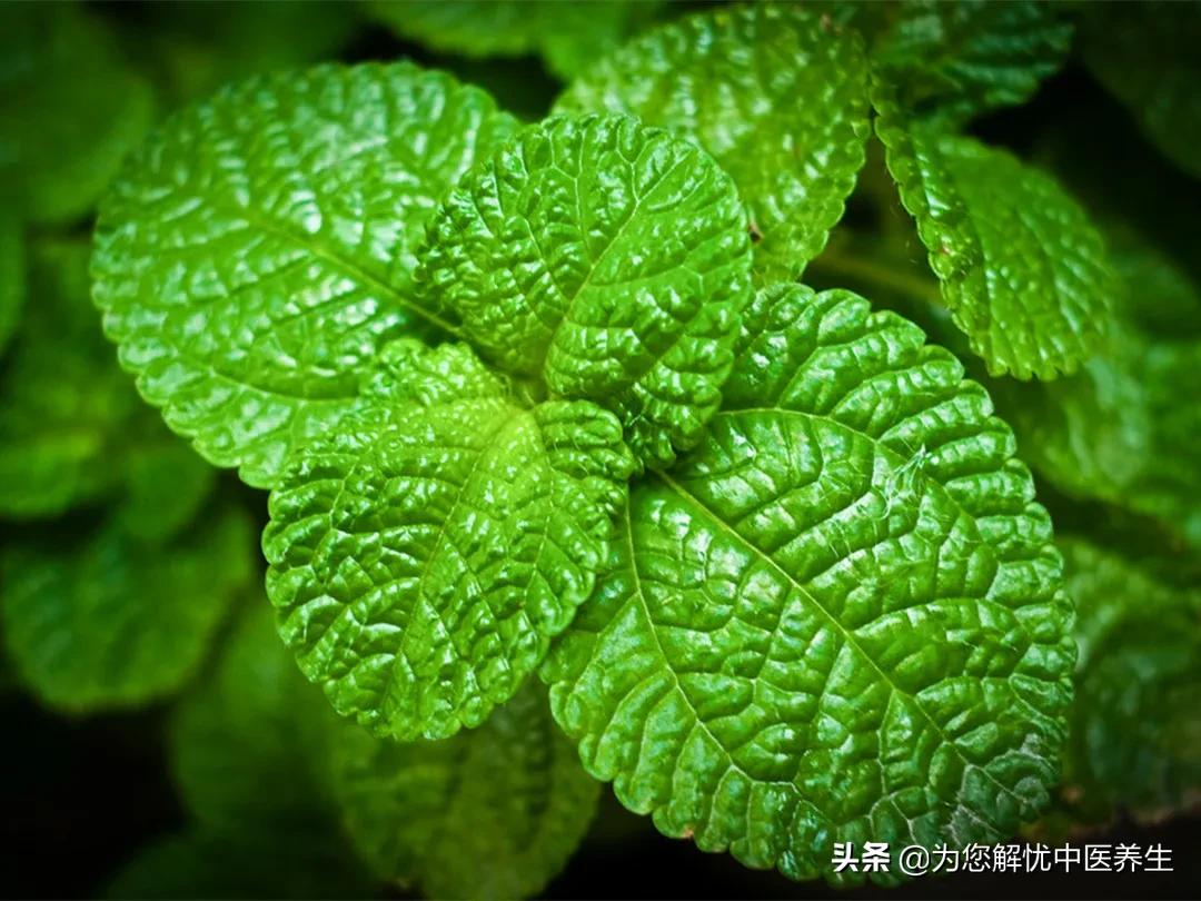 心律失常最快治疗法,心律失常最佳治疗方法