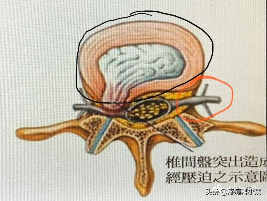 蔡主任讲座视频,蔡主任团队
