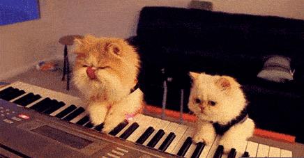 十大最简单学会的乐器,有没有比较容易入门的乐器