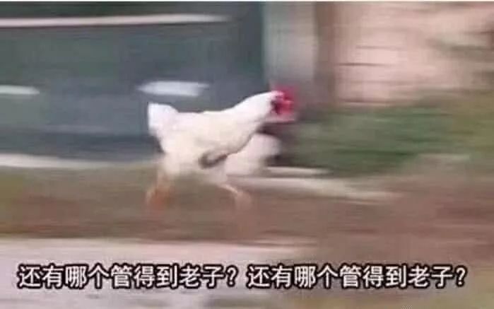 过年千万不要送的礼物,过年送礼千万不要买这3种