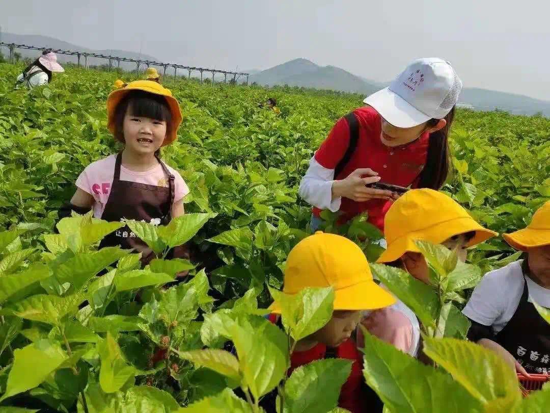 重庆端午假期我市各景区人气爆棚,我市端午假日旅游业复苏势头强劲