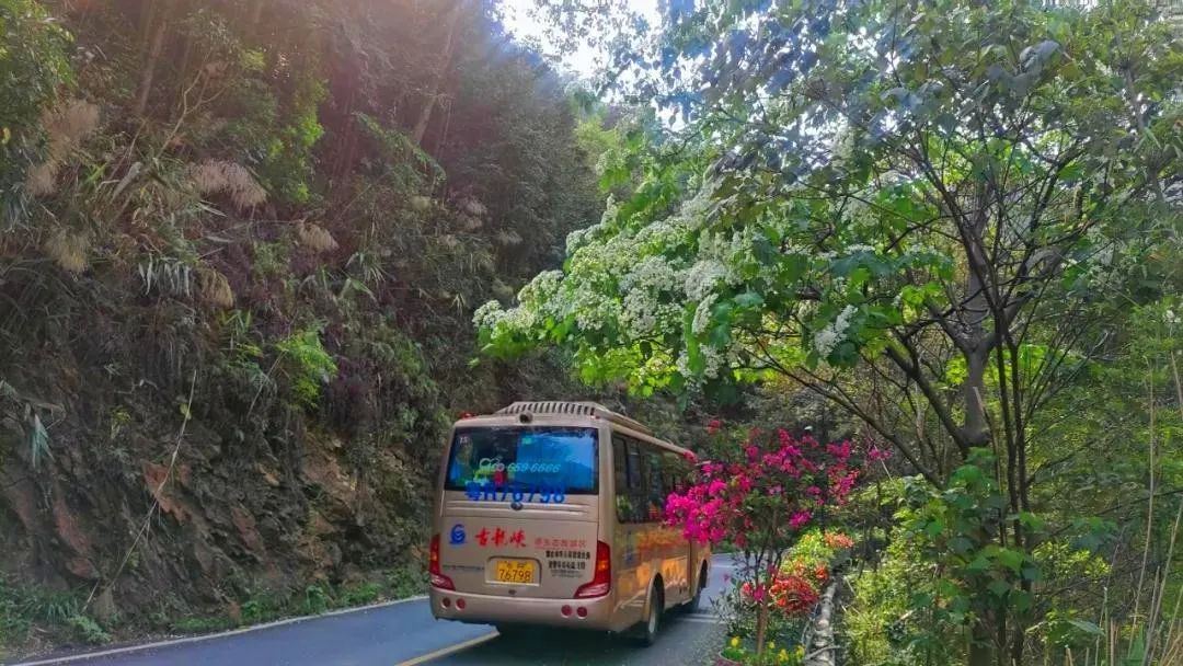 古龙峡下雪直播,古龙峡雪景