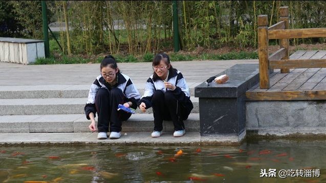 淄博第一所中学,淄博实验中学排名榜