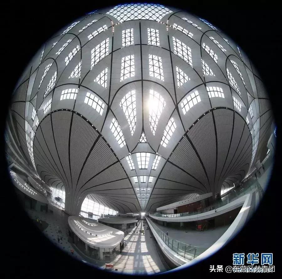 这也太牛了赞,这也太努力了表情包