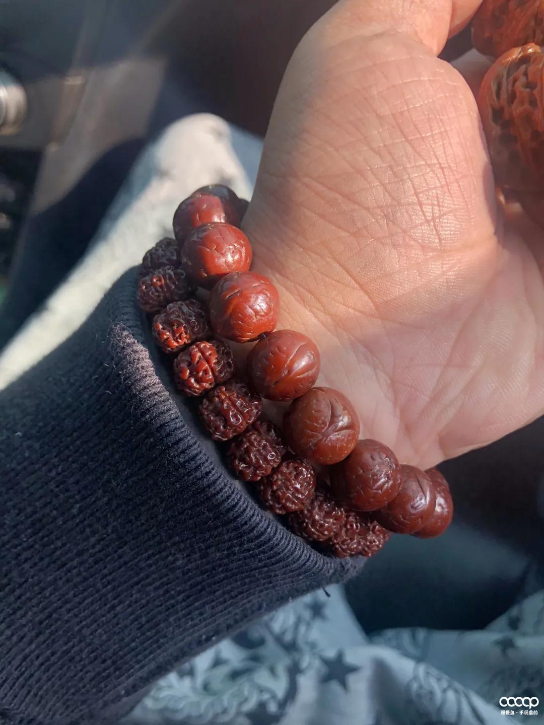 金刚菩提攻略,金刚菩提毕业级手盘