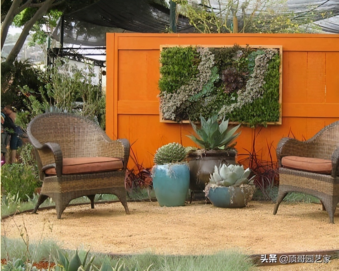 多肉植物盆栽的种植方法,多肉植物花园打造