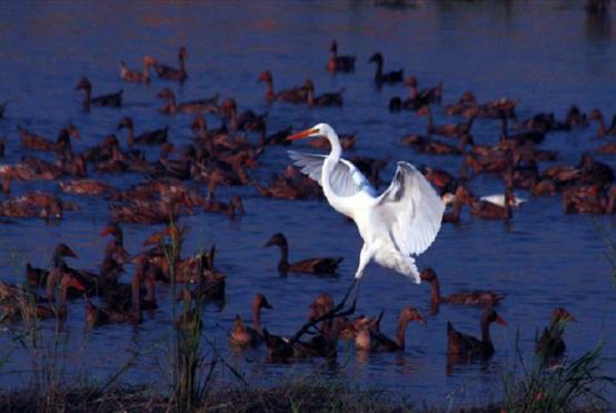 如果你被一个群体孤立你该怎么办,如果你被孤立怎么办