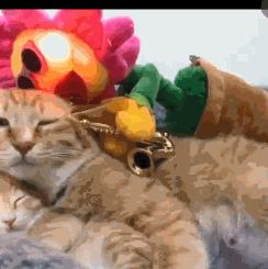 沙雕礼物推荐,新年玩点不一样