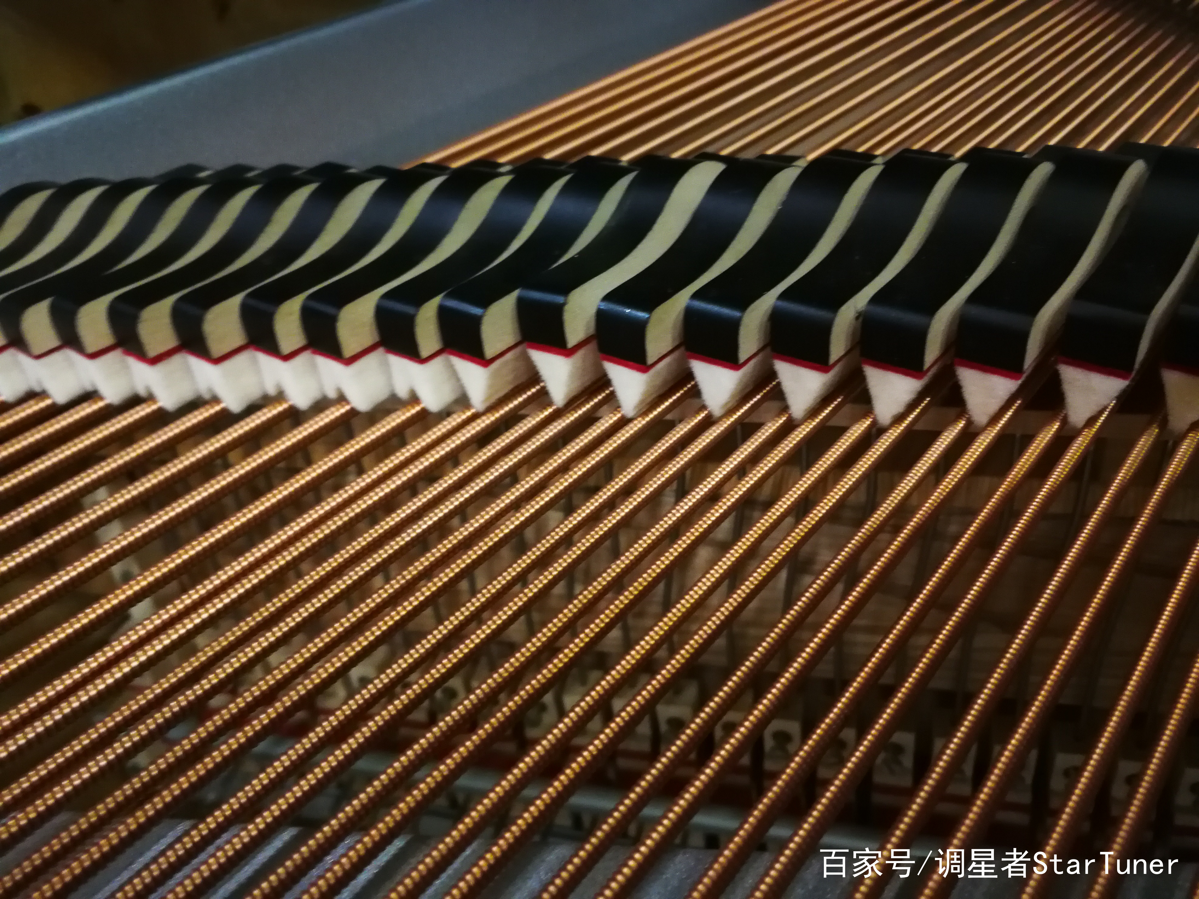 天啊,我的钢琴变成破烂了怎么办?