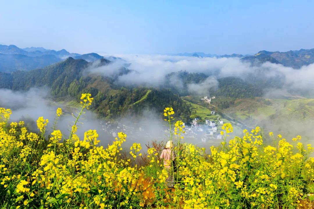 安徽春天美丽的视频,安徽美丽的春天