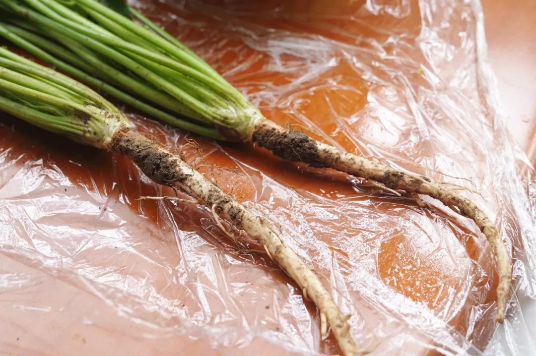 在家不出门卖菜的app,线上卖菜app哪个最好用