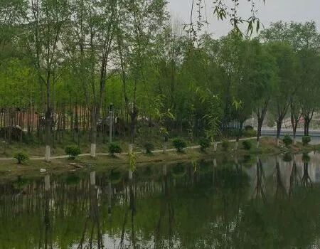 商城:我的四季情人