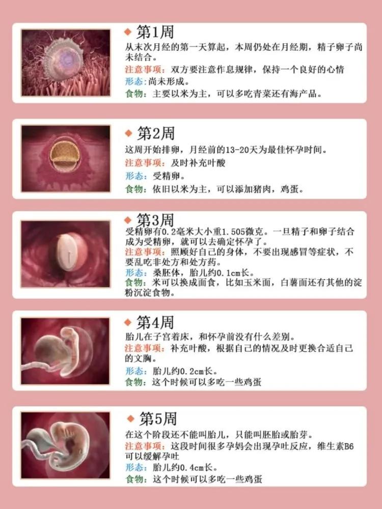 孕期营养补充,孕期营养补充剂排行榜
