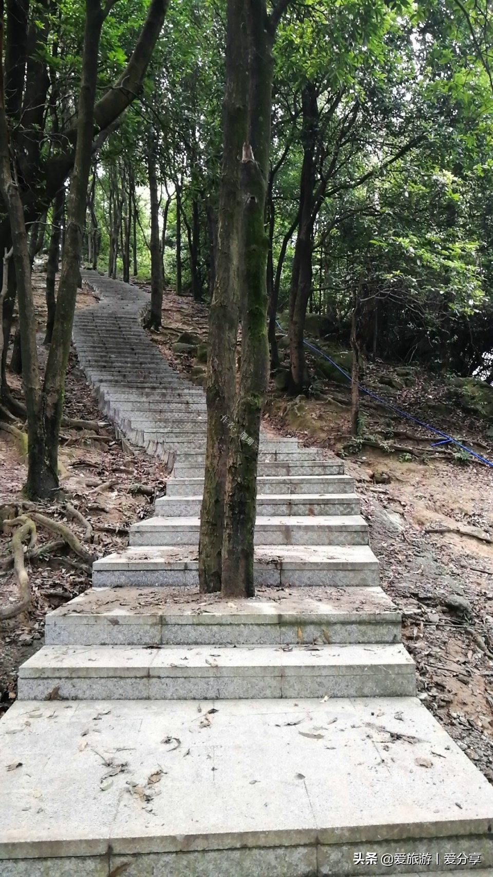 广州附近登山好去处,广州天堂顶徒步登山最佳路线