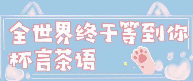 软萌暴击!邯郸这家高颜值猫咖上线,“吸猫”终于提上日程!