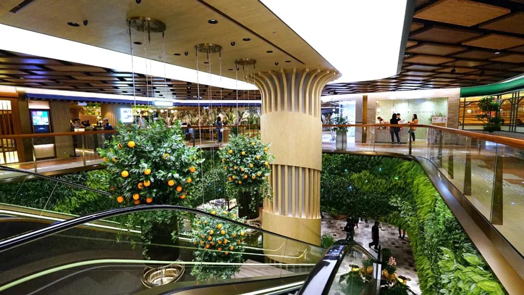 香港最大商场购物实拍视频,香港顶级商场视频