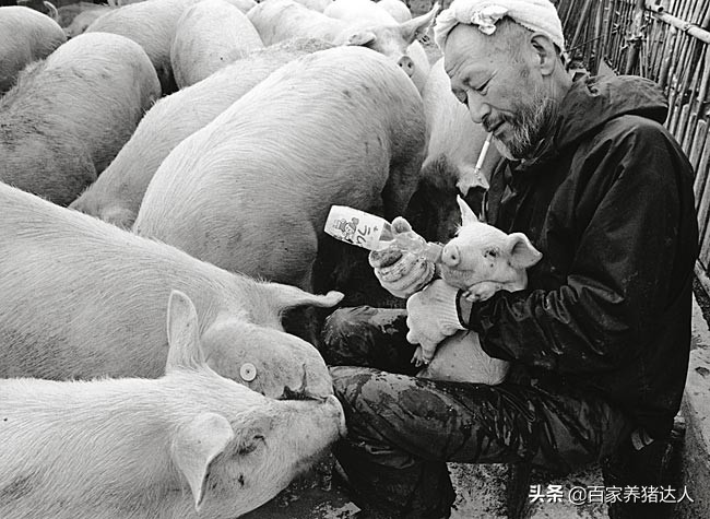 生活小妙招省钱省事省时,实用小妙招大作用