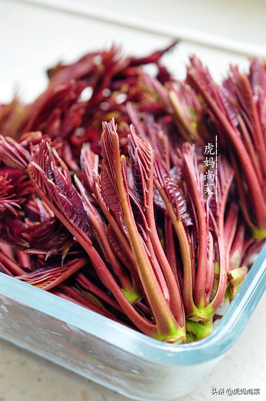 香椿面包详细做法,香椿芽面包的做法大全