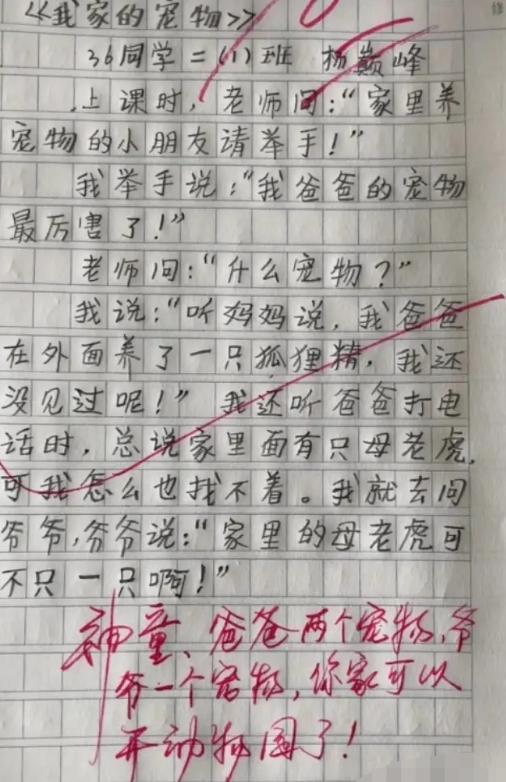 犯错了小作文,一不小心犯错作文