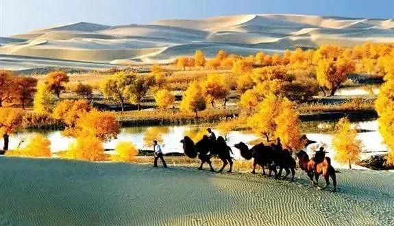 如何提升智慧和能量,如何提升智慧和思维