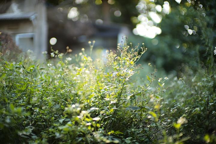 反璞归真2.0,反璞归真005