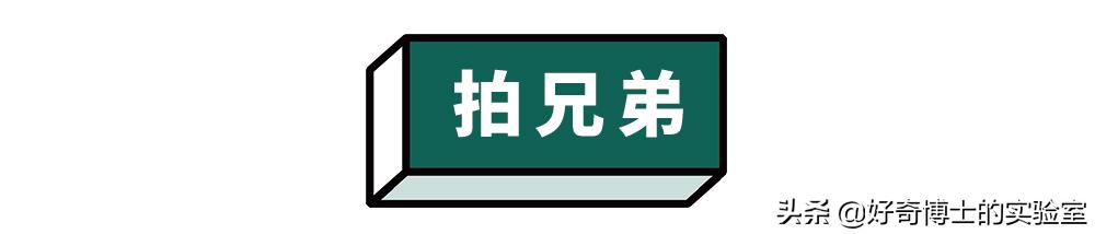 淦！微信新出的「拍一拍」是什么沙雕功能？