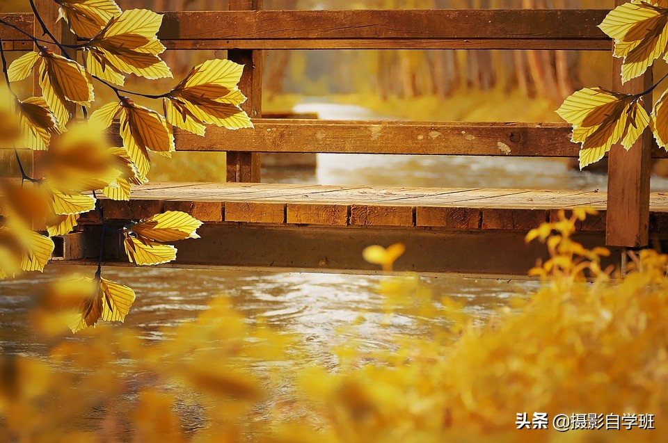 手机拍照技巧构图,手机拍照有哪些技巧和方法