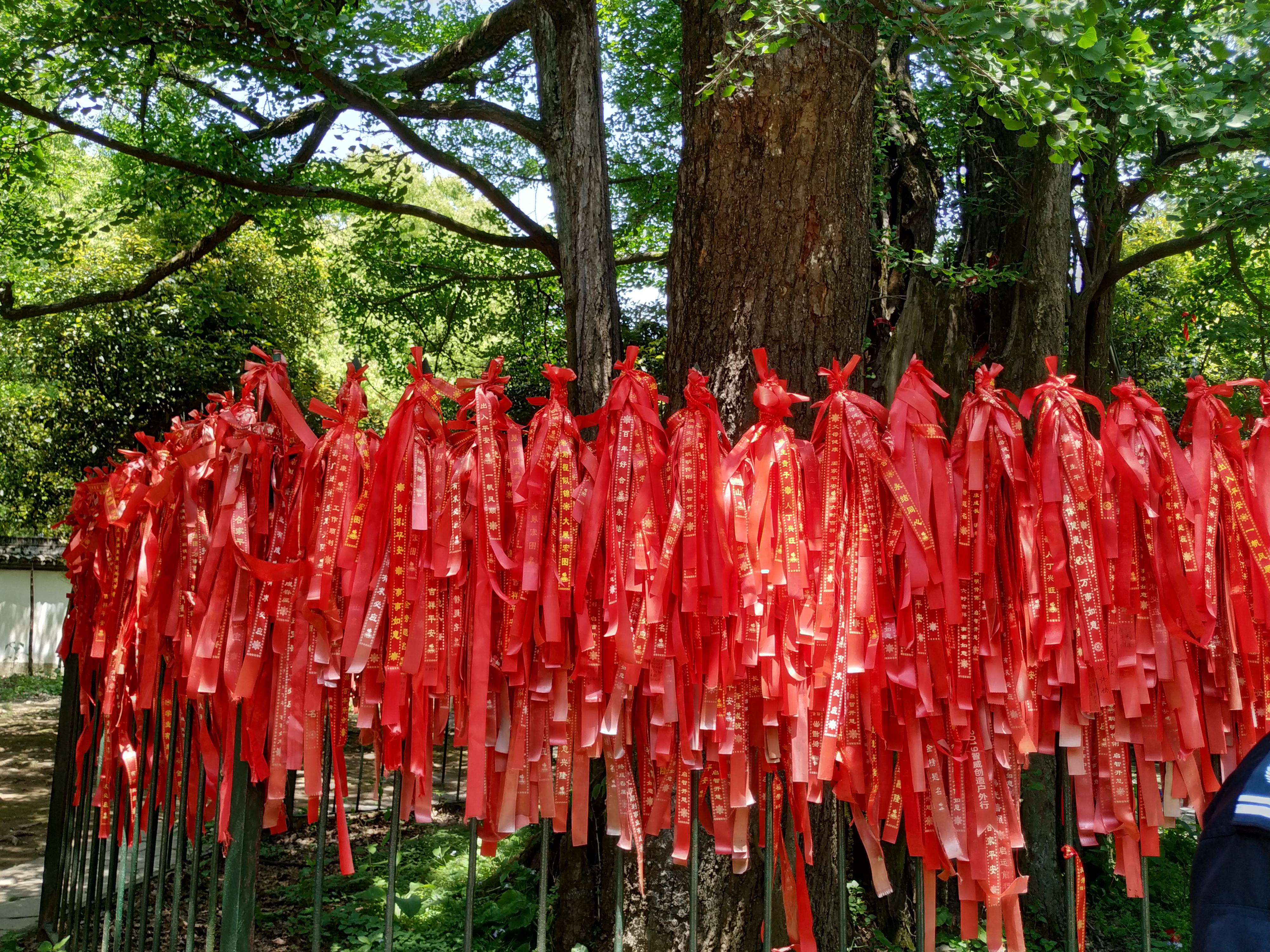 一个旅居者眼中的杭州：似水流年捕捉那四时光阴，美是记得