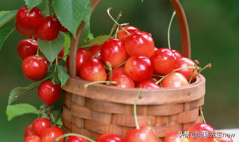 孕期吃哪些食物既营养又安胎,孕妇吃什么食物有助于安胎效果好