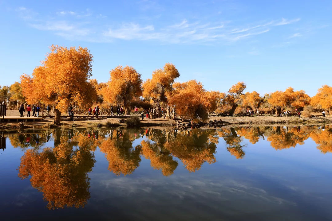 到额济纳旗怎么去胡杨林,五一去额济纳旗胡杨林好看不
