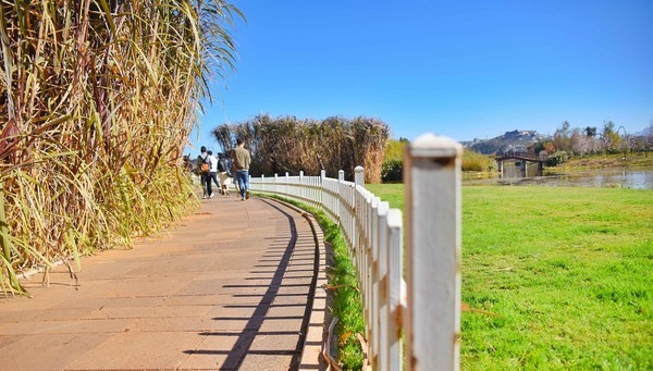 这个冬天特别冷没办法旅游,冬天这么冷的天还能出去玩吗