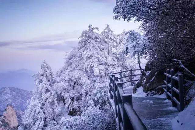 河南省春节旅游免门票景区 (春节河南6大景区半价)