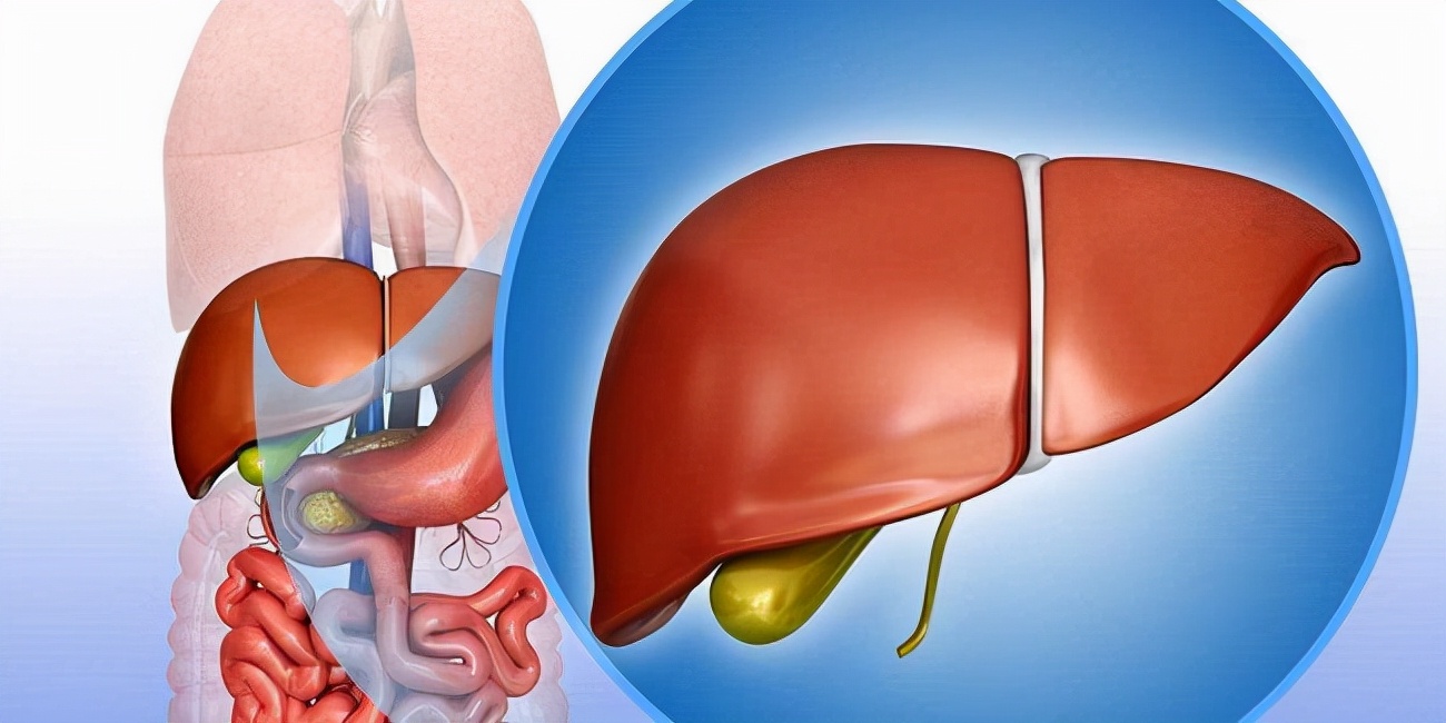 脾脏稍大有什么影响,脾脏偏大对运动有影响