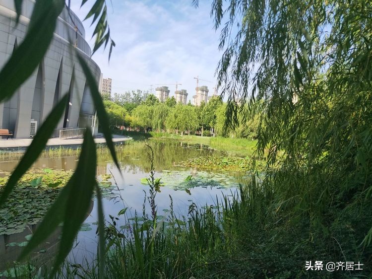 澶忓涔樺噳鏈夋劅,澶忓闈欐倓鎮勭殑鎰熸兂