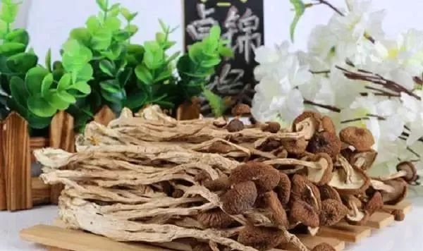 农村姑娘7年前创业投资10万,农村姑娘创业种植